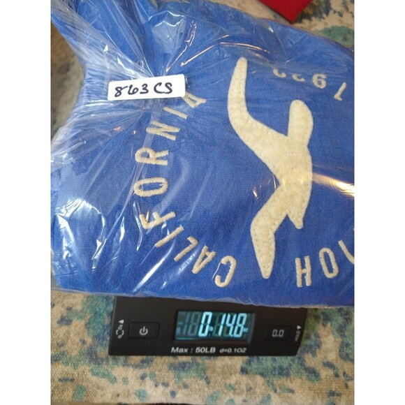 Hollister Size L Logo Graphic Hoodie Blue Pullover Kangaroo Pocket Athleisure - Picture 10 of 10